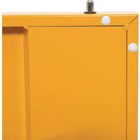 Close-up Flammable Storage Cabinet COSHH - 900x915mm