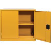 Flammable Storage Cabinet COSHH - 900x915mm - Manutan Expert
