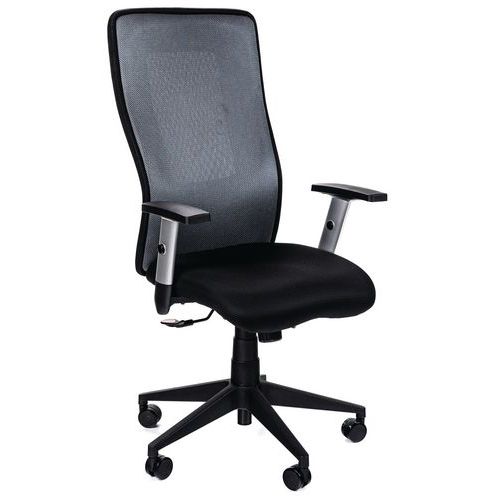 Executive Fabric Office Chair - High Curved Mesh Back - Penelope - Manutan Expert