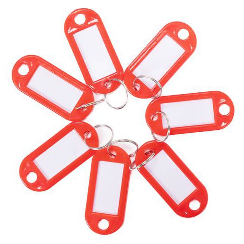 100 Plastic Key Fobs With Blank Labels - Various Colours - Manutan Expert