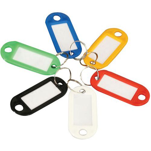 Plastic Key Fobs With Blank Labels - Assorted Colours - Manutan Expert