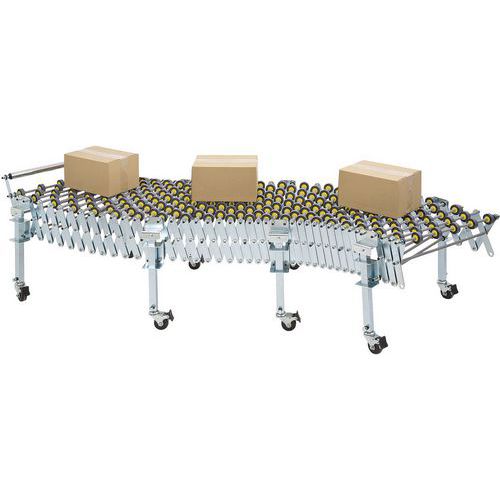 Flexible Outfeed Conveyor Belt Packaging System With Roller Chain